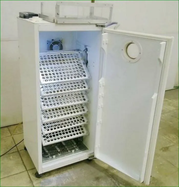 Самодельный инкубатор из холодильника