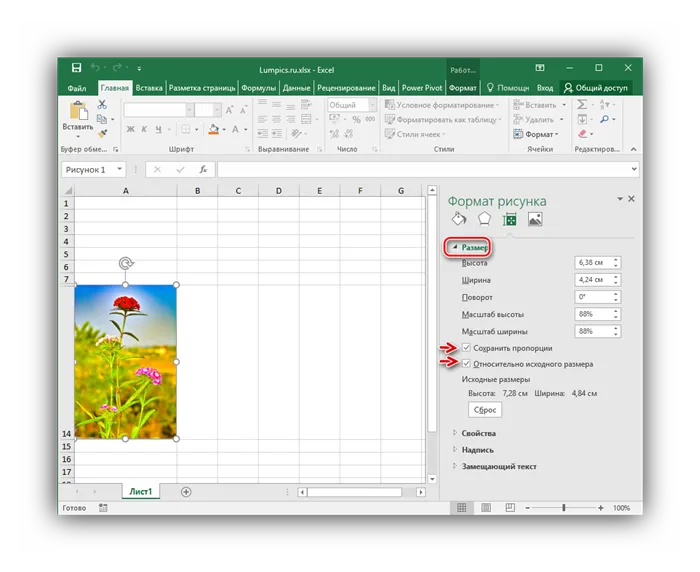 Настройки раздела Размер окна Формат рисунка в Microsoft Excel