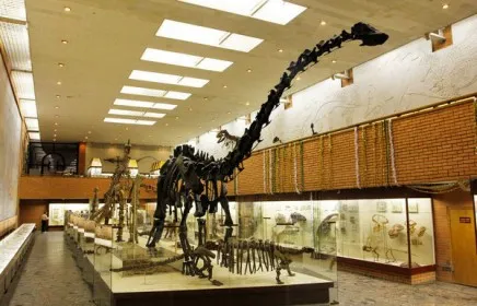 Палеонтологический музей имени Ю.А. Орлова