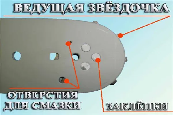 Схема местонахождения звездочки бензопилы