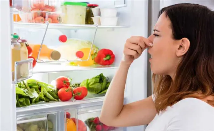 Причины появления неприятного запаха в холодильнике