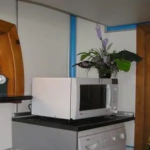Можно ли поставить микроволновую печь на стиральную или посудомоечную машину