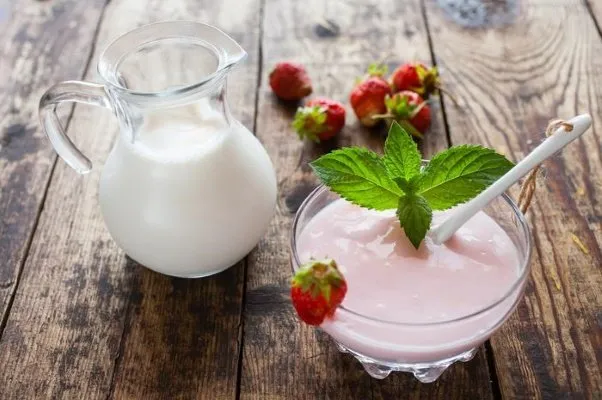 Молоко для йогуртницы