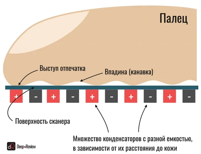 схема работы емкостного сканера отпечатков пальцев